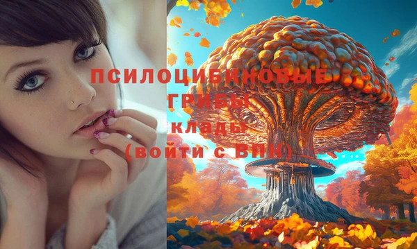 героин Белокуриха