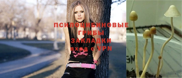 героин Белокуриха